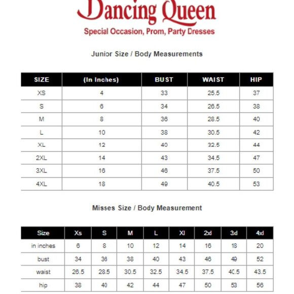 NWT Dancing Queen 4222 Satin Prom Dress Pink Size XL - Picture 4 of 5